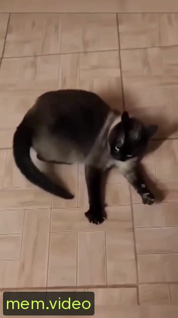 Кадр на 0:02