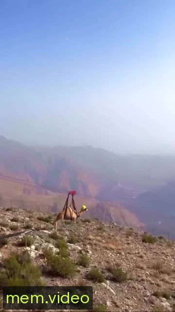 Кадр на 0:02