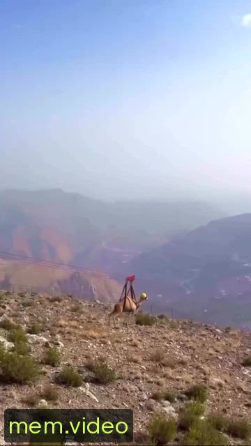 Кадр на 0:02