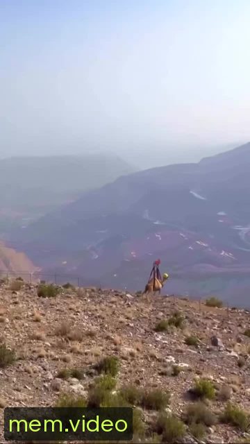 Кадр на 0:03