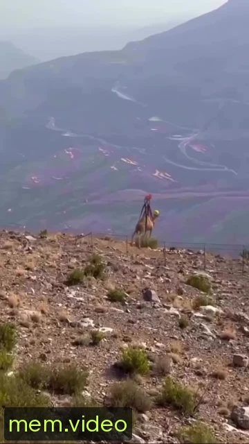 Кадр на 0:03