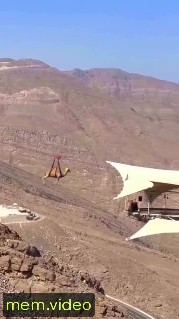 Кадр на 0:07