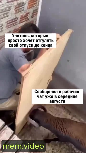 Кадр на 0:00