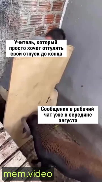 Кадр на 0:07