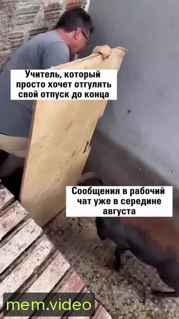Кадр на 0:09