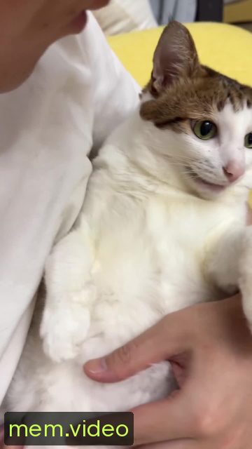 Кадр на 0:09
