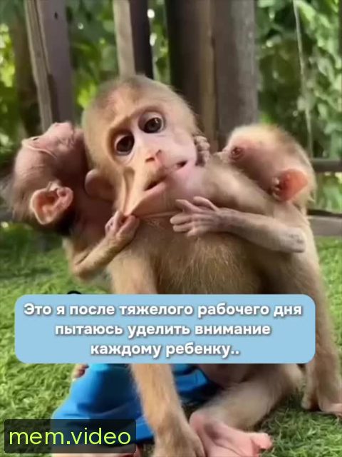 Кадр на 0:00