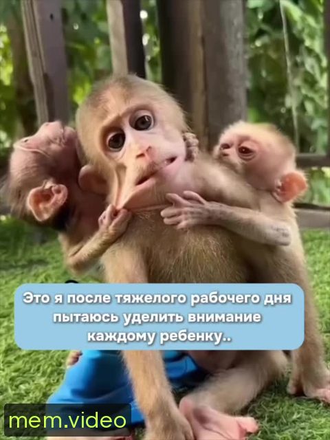 Кадр на 0:00