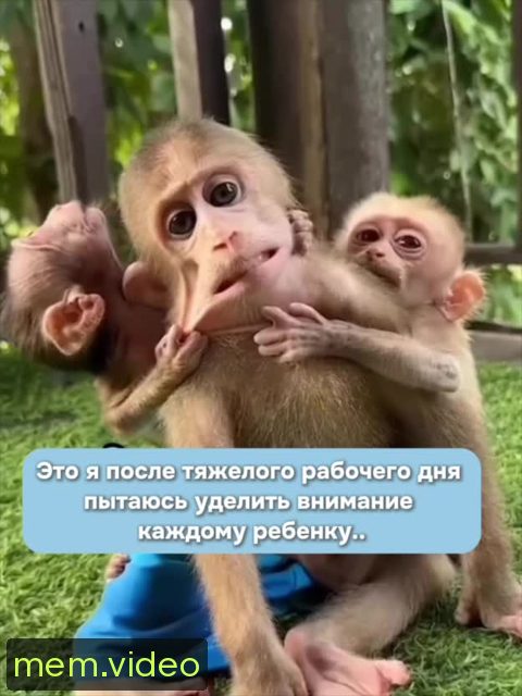 Кадр на 0:01