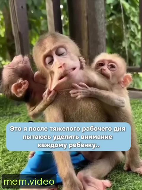 Кадр на 0:02
