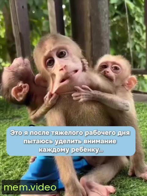 Кадр на 0:02