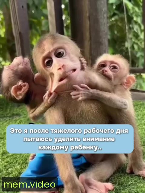 Кадр на 0:03