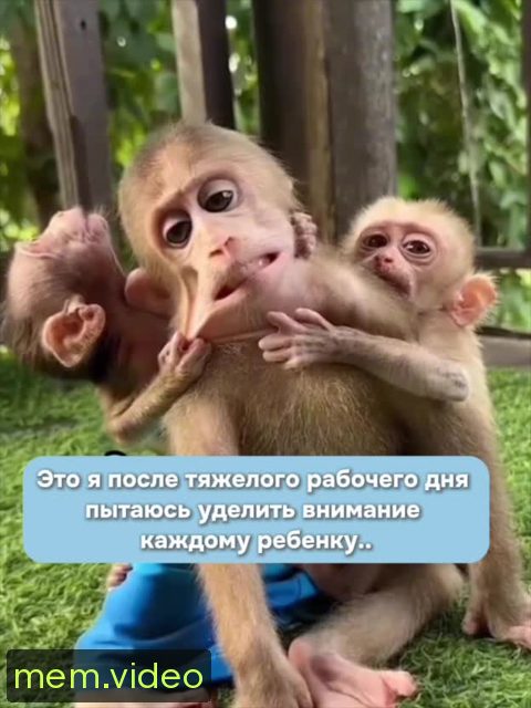 Кадр на 0:04