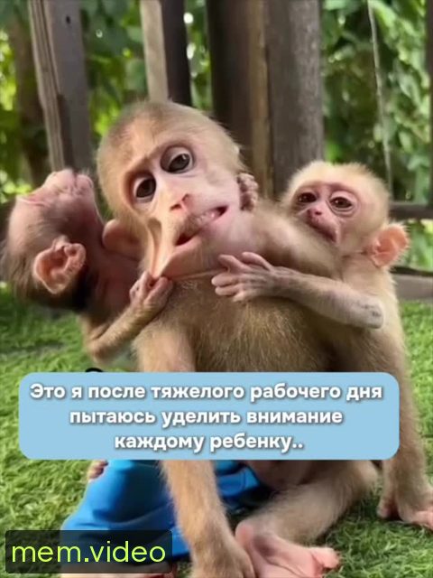 Кадр на 0:05