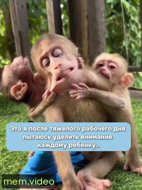 Кадр на 0:08