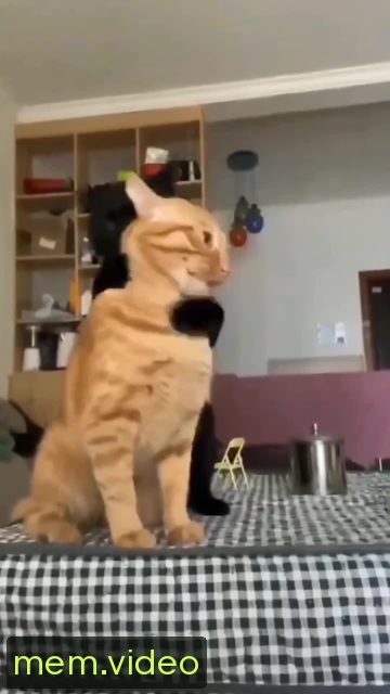Кадр на 0:01