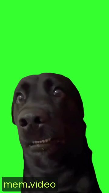 Кадр на 0:00