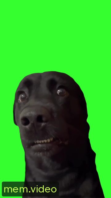 Кадр на 0:02