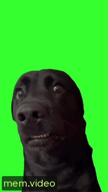Кадр на 0:02