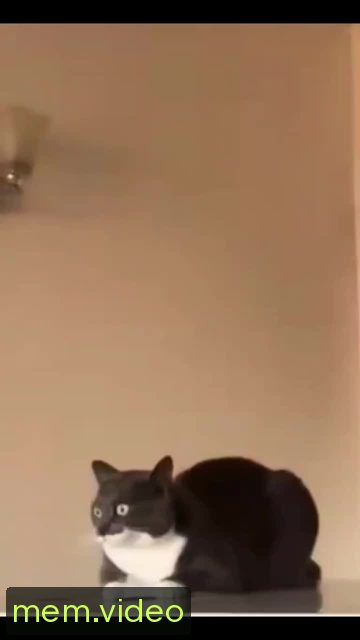 Кадр на 0:00