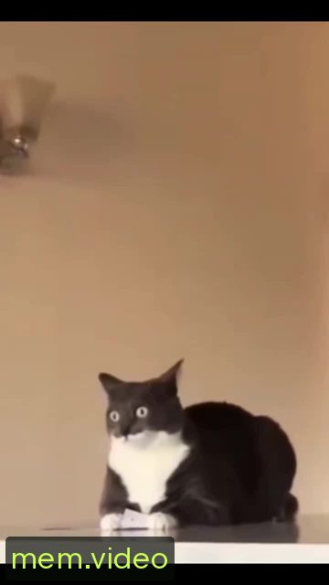 Кадр на 0:01