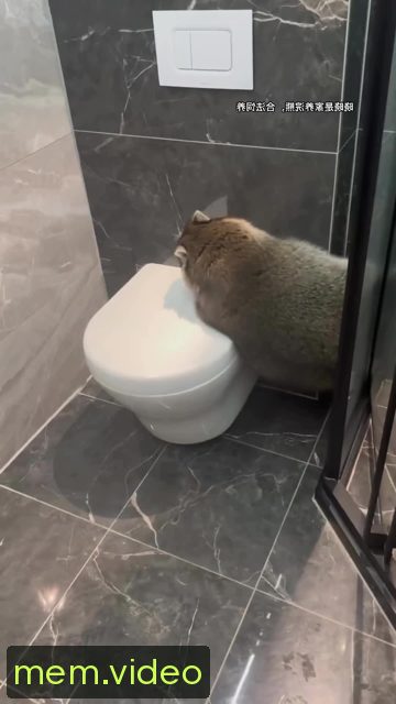 Кадр на 0:00