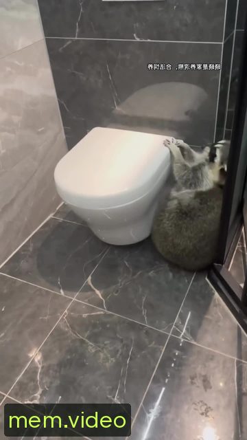 Кадр на 0:00
