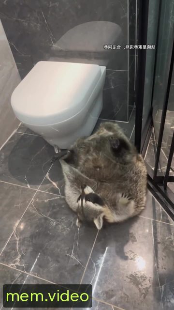 Кадр на 0:02