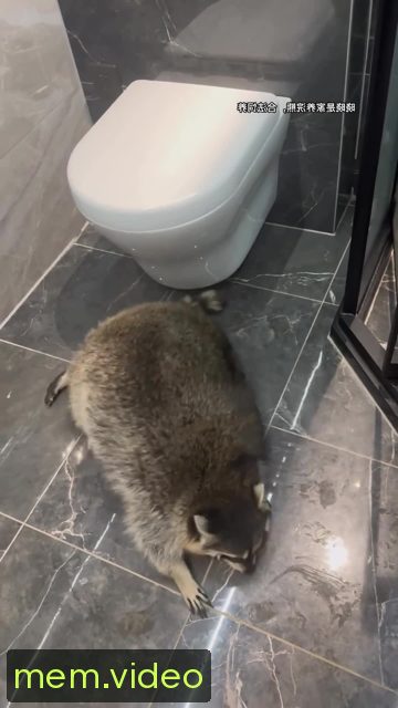 Кадр на 0:04