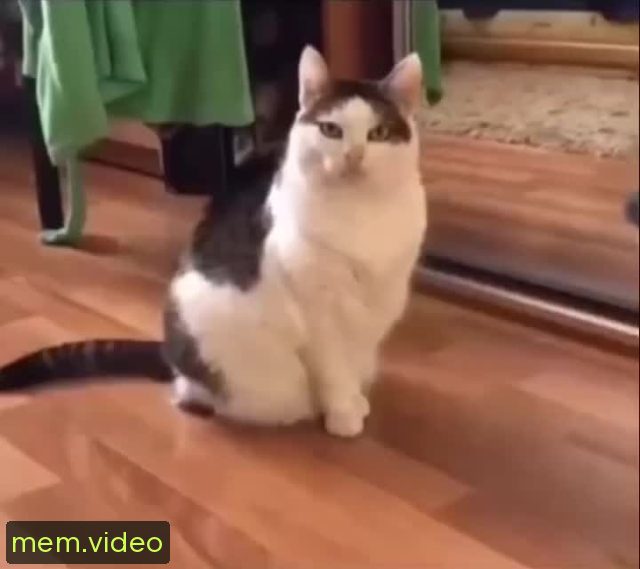 Кадр на 0:01