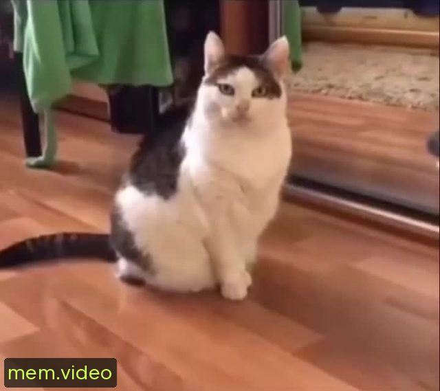 Кадр на 0:02