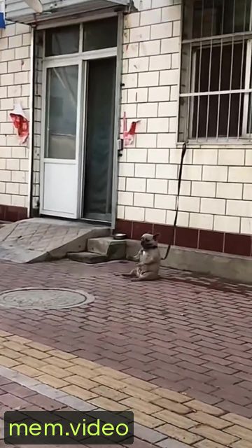 Кадр на 0:01