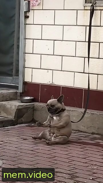 Кадр на 0:03
