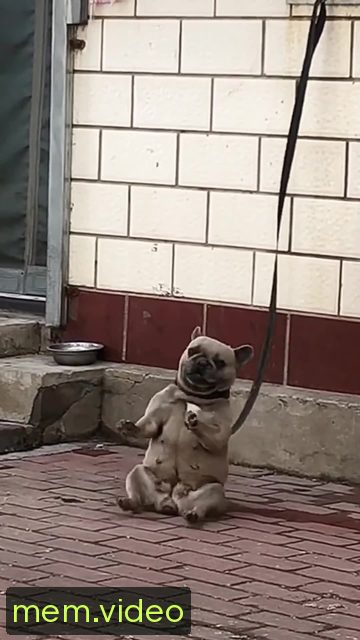Кадр на 0:06
