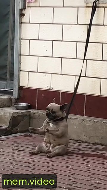 Кадр на 0:07