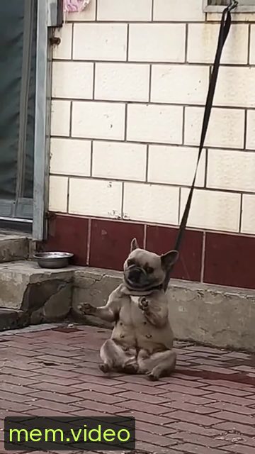 Кадр на 0:09