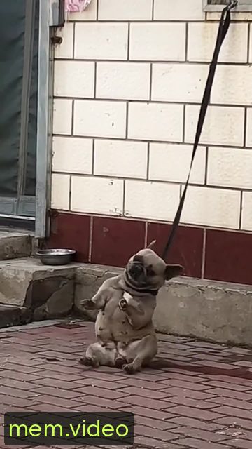 Кадр на 0:11
