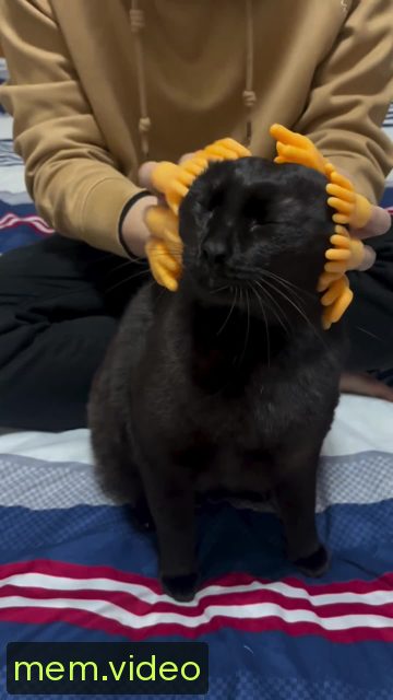 Кадр на 0:01