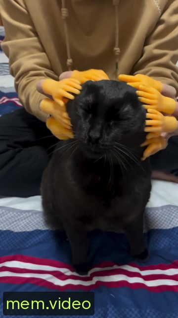 Кадр на 0:03