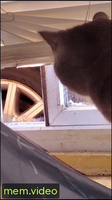 Кадр на 0:06