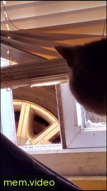 Кадр на 0:09