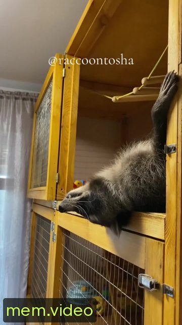 Кадр на 0:18
