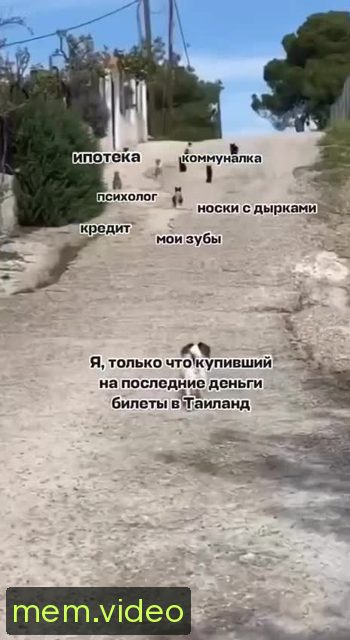 Кадр на 0:00