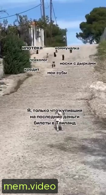 Кадр на 0:00