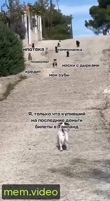 Кадр на 0:01
