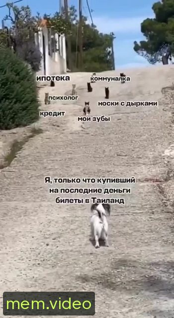 Кадр на 0:01