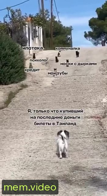 Кадр на 0:02