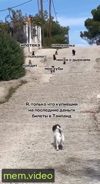 Кадр на 0:02