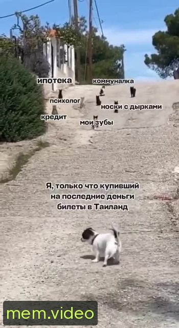 Кадр на 0:02