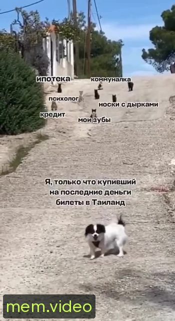 Кадр на 0:03